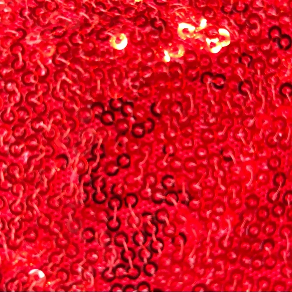 Top Drawer by Daisy Corsets Red Sequined Corset - Picture 6 of 10